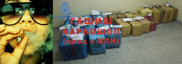 дмт Богданович