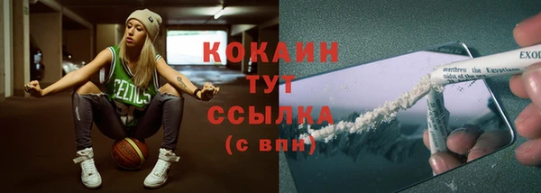 дмт Богданович