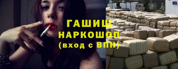 дмт Богданович