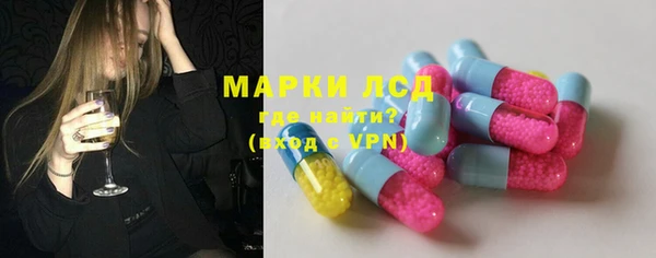 дмт Богданович
