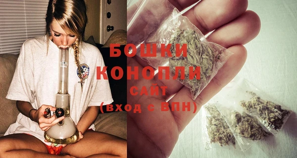 дмт Богданович