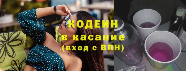 дмт Богданович