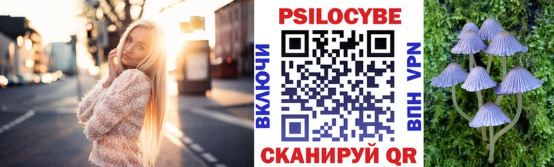hydra ссылки  где купить наркоту  Велиж  Псилоцибиновые грибы прущие грибы 