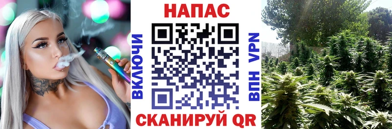 продажа наркотиков  Велиж  Каннабис планчик 